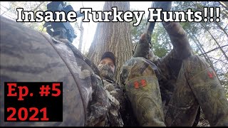 2021 PA Spring Gobbler Turkey Hunts Insane Footage  Ridge Raised Outdoors [upl. by Nada]