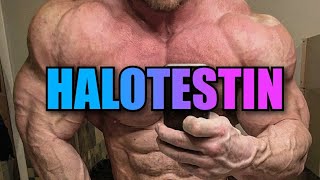 HALOTESTIN BEASTMODE EN PASTILLA [upl. by Il173]