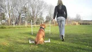 Drop on Recall BEGINNING foundationJumps for Ring Style OB [upl. by Weatherley]