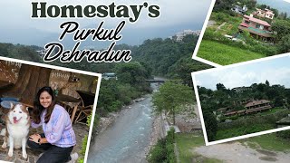 Jungle Homestays Near River in Purkul Dehradun  Different Budget Options with Beautiful Location [upl. by Kendra676]