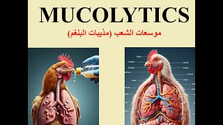 موسعات الشعب مذيبات البلغم في الدواجن MUCOLYTICS [upl. by Raymund]