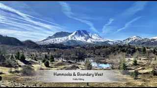 Hiking Hummocks to Boundary West to Johnston Ridge Observatory MSH [upl. by Inna]