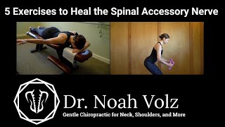 5 Exercises to Heal Spinal Accessory Nerve Damage [upl. by Anon]