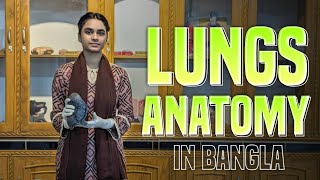 Lungs anatomy in bangla  Gross anatomy histology embryology blood supply [upl. by Harewood]