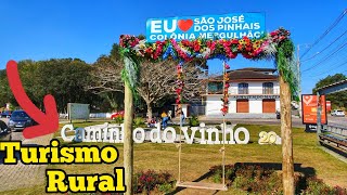 CONHEÇA CAMINHO DO VINHO 🍇 São José dos Pinhais PR COLÔNIA MERGULHÃO turismo turismorural vinho [upl. by Eleumas]