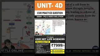 CSIR Practice Question  Unit 4 Cell Communication and Cell Signaling  Topic D Cancer [upl. by Morlee33]