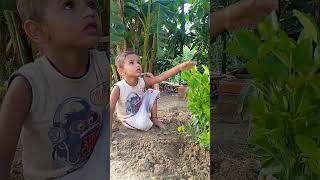 Planting tree by a 2year kids shorts ytshorts ronaldo [upl. by Amoeji]