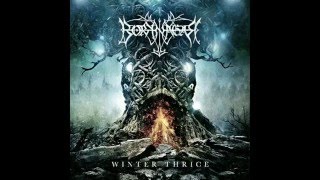 Borknagar  Erodent Winter Thrice 2016 [upl. by Keheley]