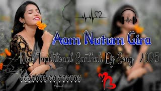 AamNutumGiraTolen🥀NewTradionalSanthaliDjSong🥀2024SusmitaDj🎶 [upl. by Araeic]