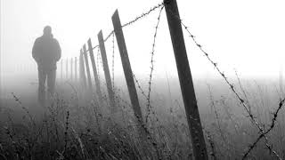 Micatone  barbed wire [upl. by Engenia]