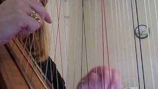 CrossStrung Harp  Spanish Dance [upl. by Dry740]