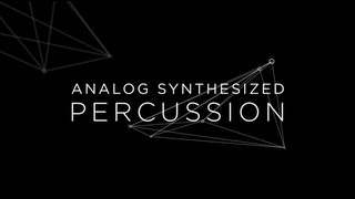 ANALOG SYNTHESIZED PERCUSSION [upl. by An600]