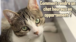 Comment rendre heureux un chat en appartement 🤔 [upl. by Rivy705]