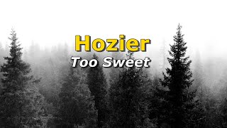 Hozier  Too Sweet Tradução PTBR [upl. by Ibib]