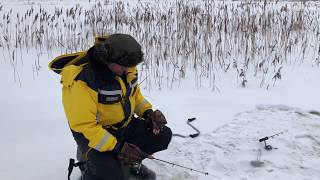 Ice fishing Narew Cieluszki [upl. by Assadah790]