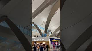 Sheikh Zayed International Airport Abu Dhabi shorts trending dubai Abu Dhabi uae [upl. by Eelarual]