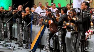 Por Debajo de la Mesa En vivo ft Orquesta Sinfónica de Aguascalientes [upl. by Pfaff365]