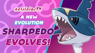 A new evolution for Sharpedo pokemon fakemon fakedex [upl. by Sabian]