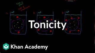 Tonicity  comparing 2 solutions  Lab values and concentrations  Heatlh amp Medicine  Khan Academy [upl. by Piselli129]