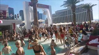 EDC ROOFTOP POOL PARTY  DRAIS BEACHCLUB WGTA [upl. by Odlopoel]