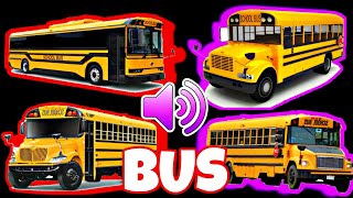 Evolution of School Bus Horn Sound Variations and Effects in 40 seconds [upl. by Guinn]