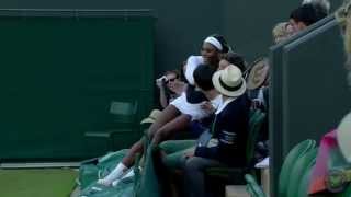 Serena Williams falls into crowd at Wimbledon [upl. by Smaj]