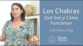 🌍 Los Chakras Qué Son y Cómo Funcionan con Marta Puig · MUNDO PRÁNICO 🌍 [upl. by Enaenaj]