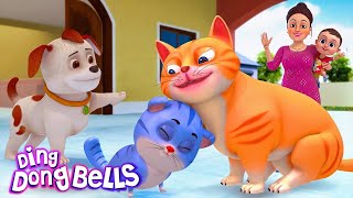 म्याऊं म्याऊं बिल्ली करती  Meow Meow Billi Karti v2  Hindi Rhymes for Children  Ding Dong Bells [upl. by Godderd971]