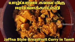 யாழ்ப்பாண சுவைமிகு ஈரப்பலாக்காய் கறி  Jaffna Style Breadfruit Curry in Tamil  Erapilakkai curry [upl. by Elnora]