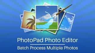 Batch Process Multiple Photos  PhotoPad Photo Editing Tutorial [upl. by Lyford157]