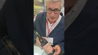 Prowine 2024 em São Paulo com vinhos portugueses topwine [upl. by Peppy348]