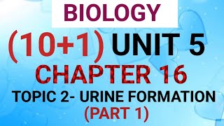 NEET BIO 101 CHAPTER 16 VIDEO 5 [upl. by Bakki]