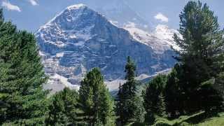 Andreas Willscher  Sonnenuntergang in der Berner Alpen Luca Massaglia organ [upl. by Acey]