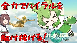 【ティアキン】RTA走者が全力で駆け抜けるハイラル！【ゼルダの伝説 ティアーズ オブ ザ キングダム】【ずんだもん】 [upl. by Nalra]