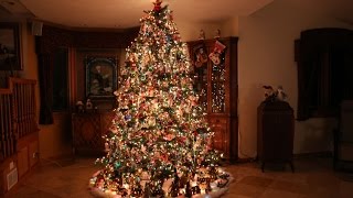 Building the Most Beautiful Christmas Tree Time Lapse [upl. by Ennyroc864]