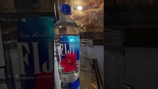 Fiji water review [upl. by Kcirdnekal]