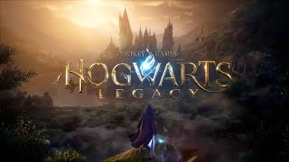 WELCOME TO HOGWARTS  Hogwarts Legacy Ep 1 [upl. by Llennahs]