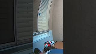 Stealing from Porch Caught on Camera Watch Now [upl. by Blatman41]