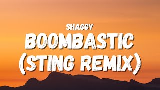 Shaggy  Boombastic Sting remix Lyrics TikTok Song  Im boombastic tell me fantastic [upl. by Adnohsed]