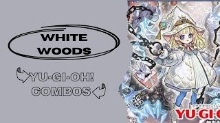 YuGiOh White Woods Combos 2024 Post Infinite Forbidden  Light Spellcaster Post INFO [upl. by Herb]