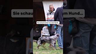 Sie schaut immer nur zum Hund… hundetraining hundeschule [upl. by Carmelita]