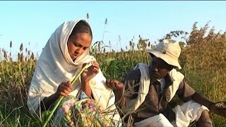 LYEtv  Beraki Gebremedhin  Qedawitey  ቀዳዊተይ  New Eritrean Music 2015 [upl. by Mirak]