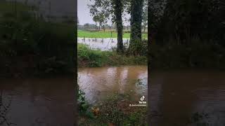 🌧️ Les cumuls de pluie depuis hier dépassent parfois les 50 mm en Bretagne  📅 date  21102024 [upl. by Richers]