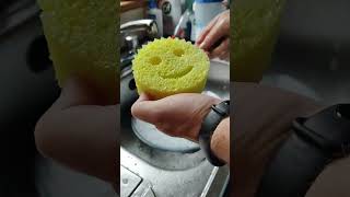 How to use the Scrub Daddy [upl. by Clementis511]