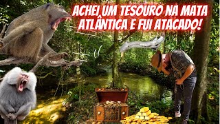 Achei um tesouro no meio da Mata Atlânticae atacado [upl. by Suissac]