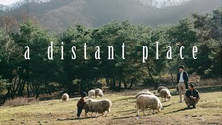 A Distant Place Korean  Trailer [upl. by Etnom778]