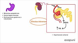 Clasificación de AINES Acciones Farmacológicas Indicaciones y Efectos Adversos  AINES Parte 2 [upl. by Nelrsa]