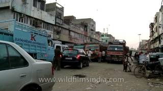 Asias biggest Fruit amp Vegetable market  Azadpur mandi [upl. by Nodnas]