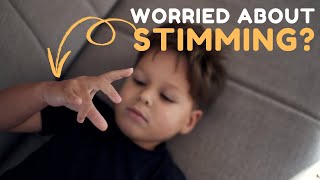 Stimming in Toddlers amp Preschoolers When to Worry amp What to Do [upl. by Nisse]