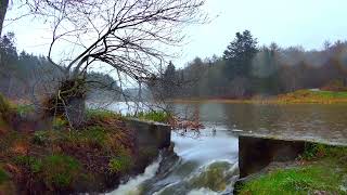 Rushing water and rain by the lake nature asmr meditation [upl. by Pallaten]